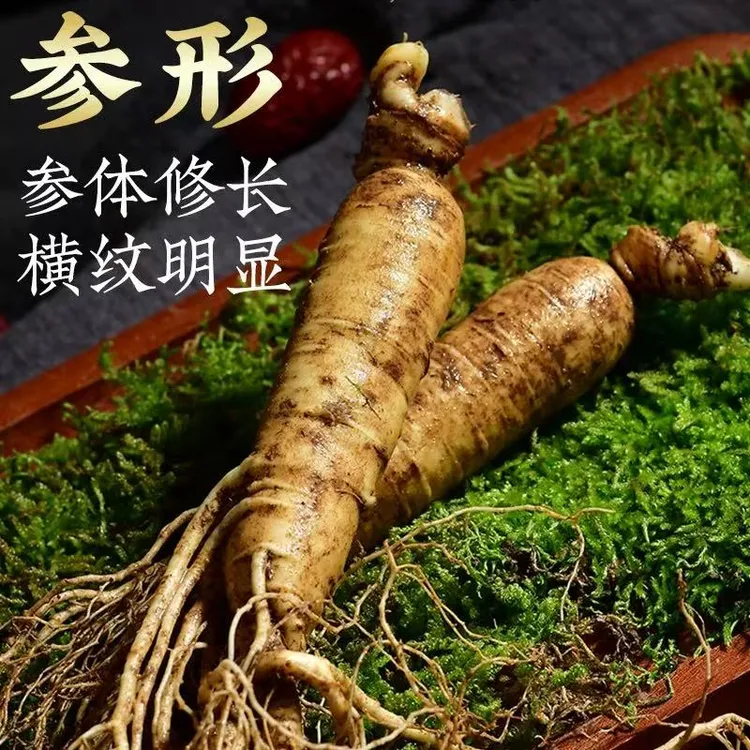 长白山原产地新鲜人参泡酒煲汤送礼【清洗后不退不换】100%纯正人参