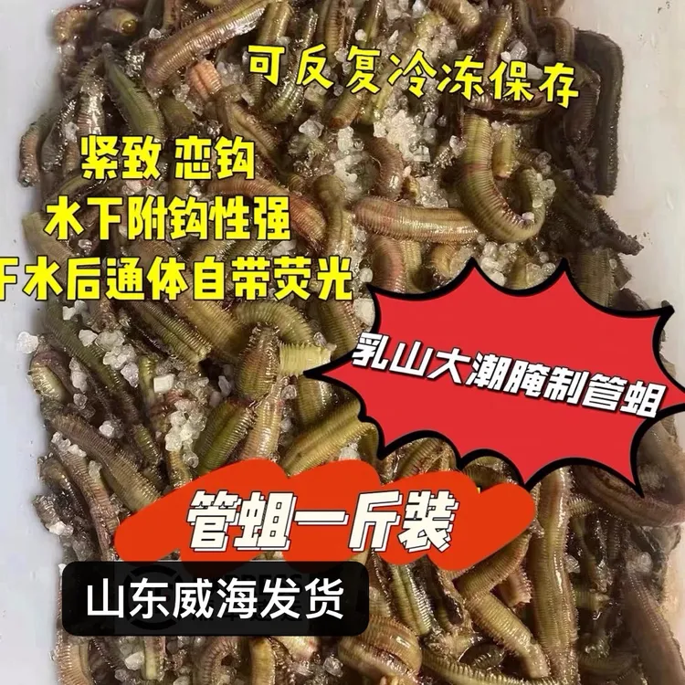乳山大潮腌制管蛆管食管虫皇姑白米子鲈鱼黑头鲷鱼海钓通用饵