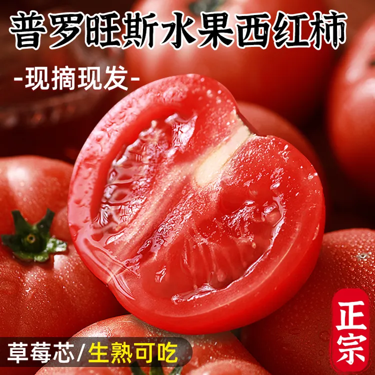 西红柿新鲜正宗普罗旺斯草莓番茄自然熟沙瓤水果现摘生吃蔬菜农家