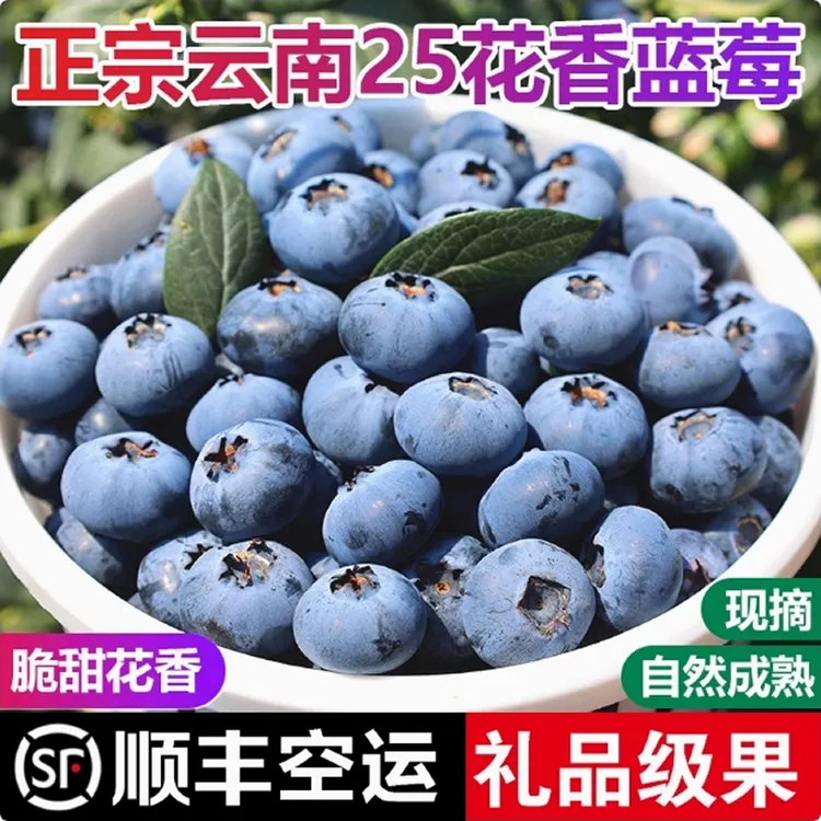 云南现摘蓝莓 正宗25花香蓝莓【顺丰空运包邮】720 克