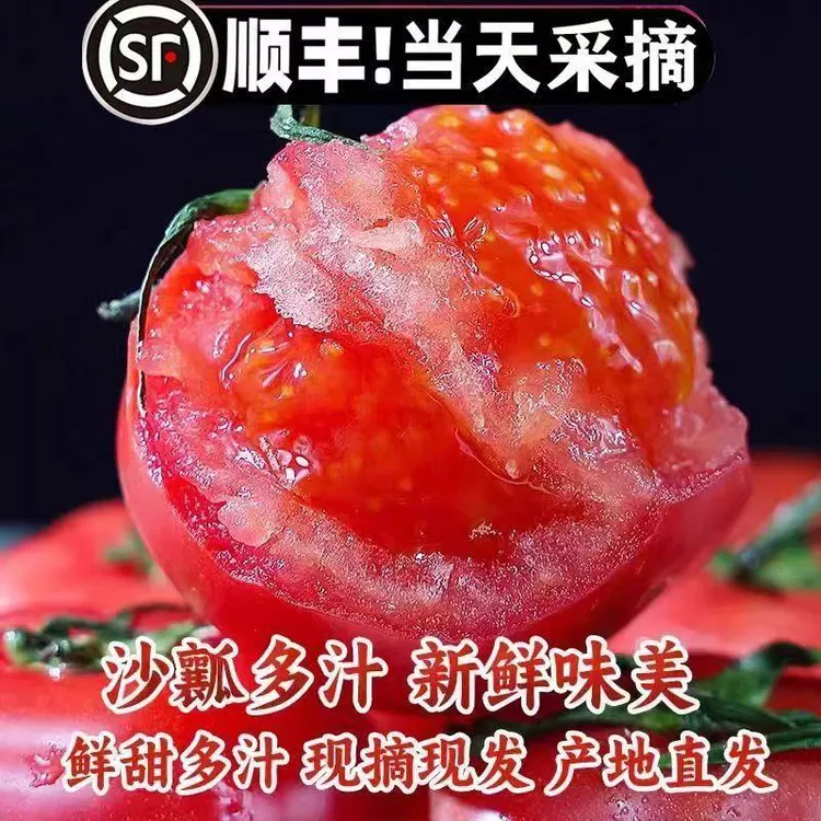 陕西胖娃家不催熟不膨大的老味道生吃番茄沙瓤3斤4.5斤包邮到家
