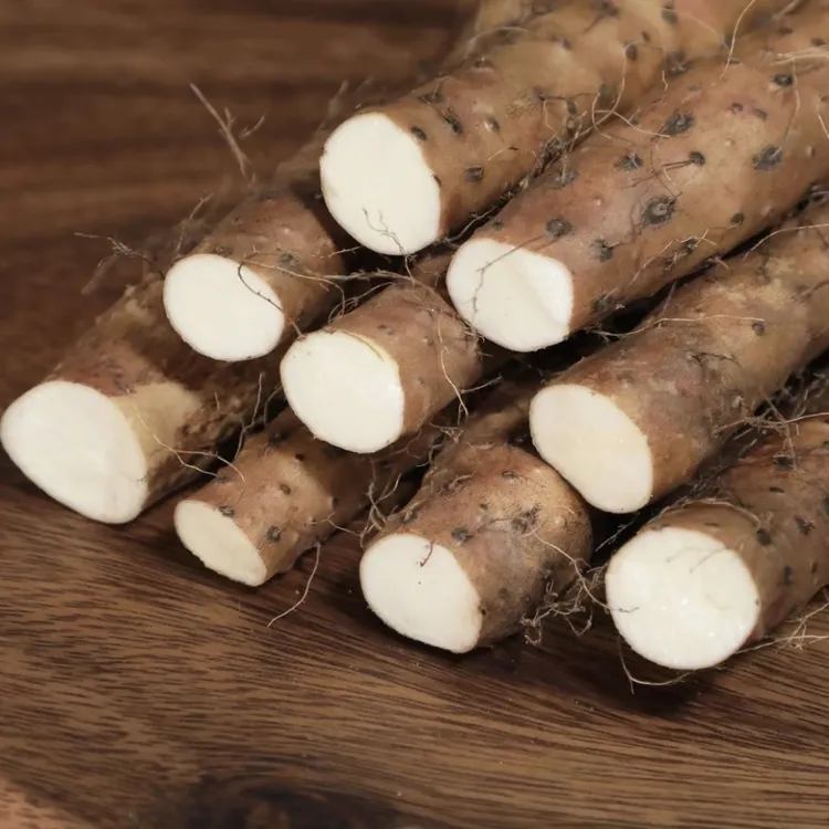 正宗的垆土铁棍山药软糯香甜营养高产地直发5斤装