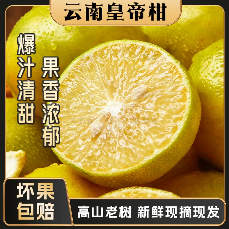 【觅南香1】 云南皇帝柑  高山老树 口感丰富 现摘现发