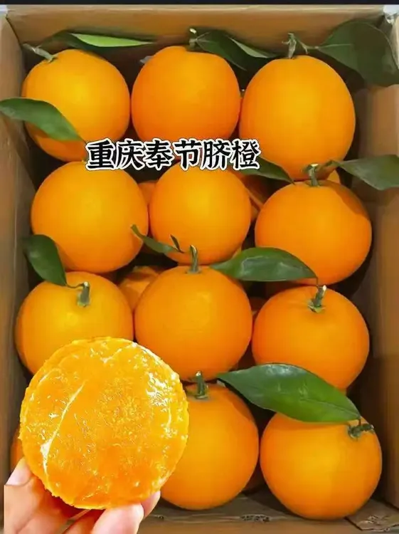 正宗重庆奉节脐橙现摘新鲜清甜多汁产地直发水果<中小果》