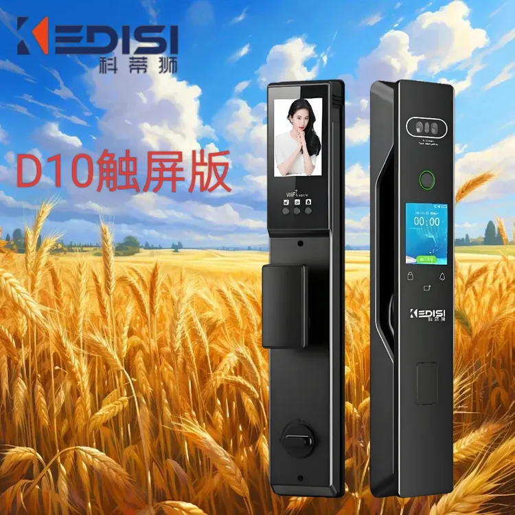 科蒂狮智能锁D10触屏版，人脸识别，家用远程开锁，锁门锁家用入户门