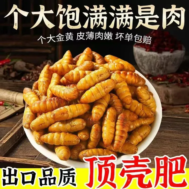 【买2斤送2斤】金丝蛹鲜活蚕蛹冷冻新鲜美味黄金蛹下酒菜高蛋白生鲜