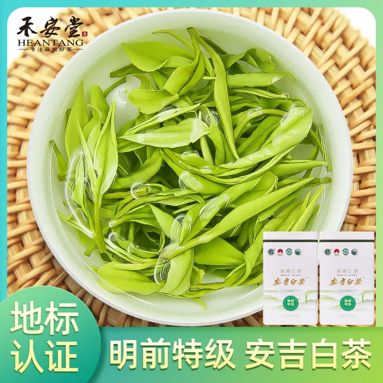 禾安堂茶叶旗舰店明前2025年新茶叶安吉白茶高山绿茶罐装共250g