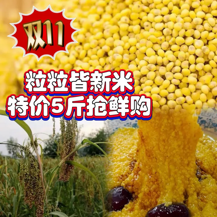 精选2025秋收新大黄米粘糯饱满圆润金黄包粽子做黄米饭粗粮糕点