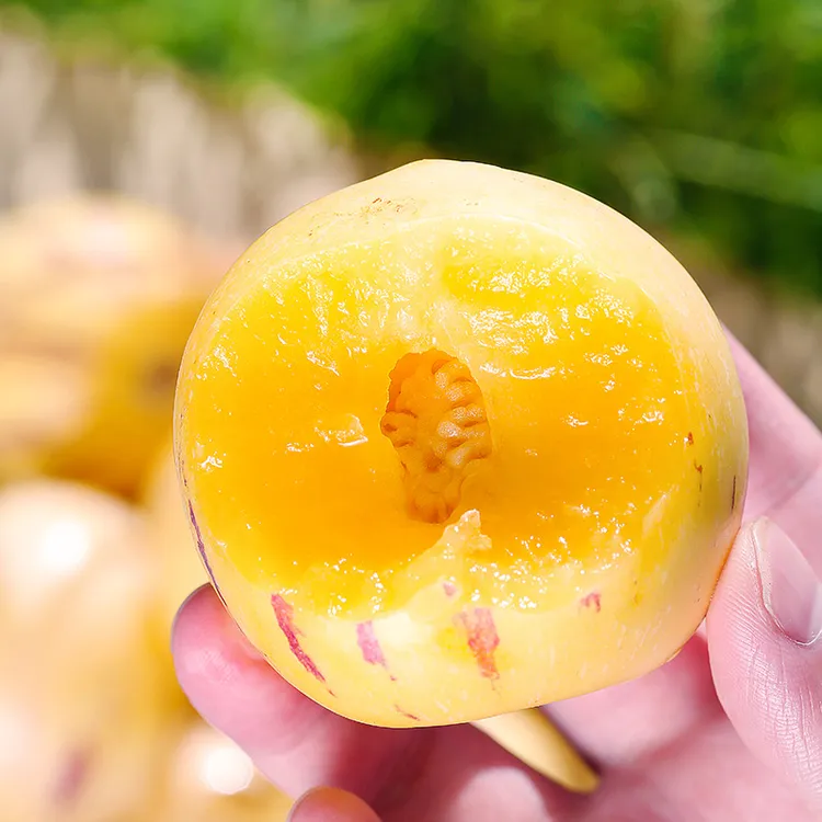 云南石林人参果新鲜水果树熟圆果香甜多汁整箱包邮