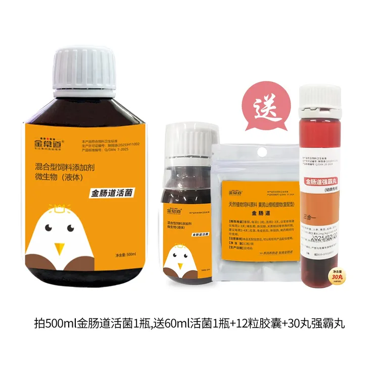 金肠道活菌拍一发四   活动中