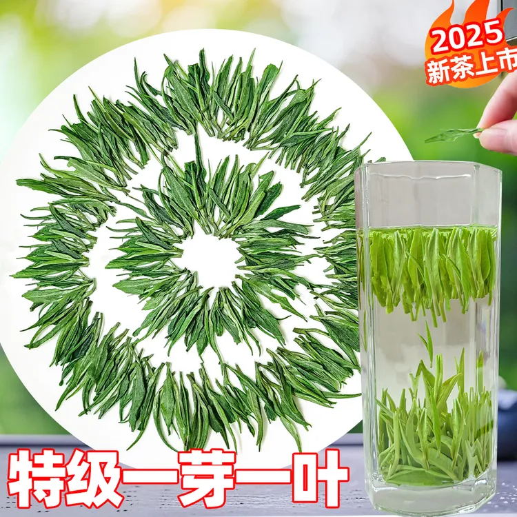 2025新茶特级雀舌一芽一叶绿茶明前高山手工嫩芽正宗贵州湄潭翠芽
