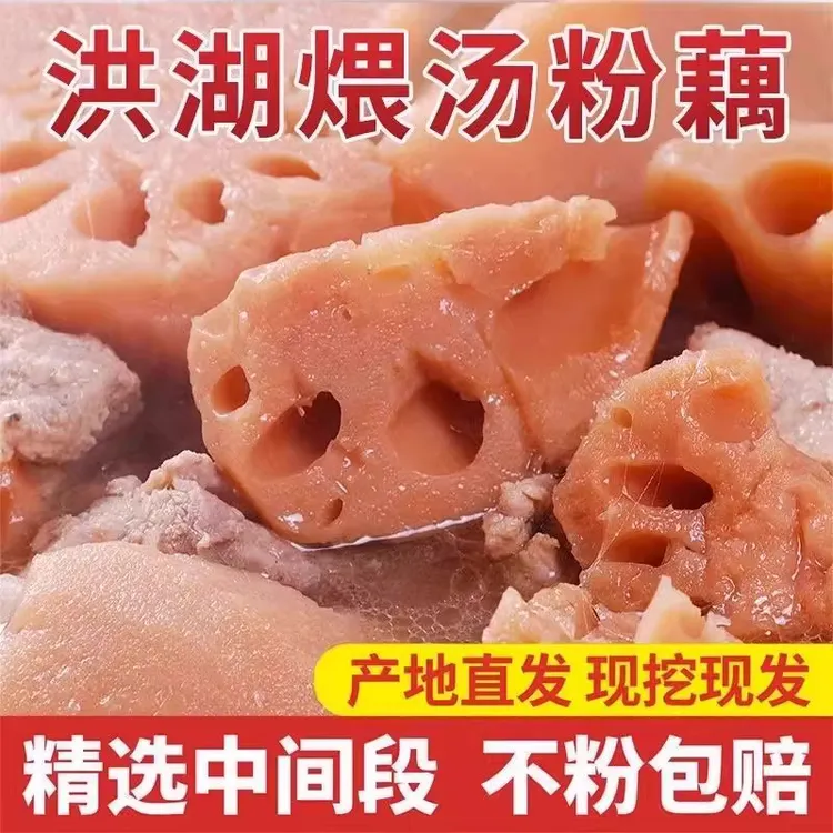 正宗洪湖新鲜煲汤粉藕糯米藕湖北特产现挖九孔莲藕精选中段藕