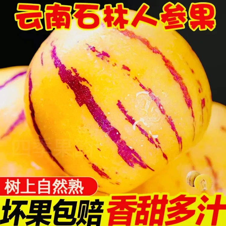 【特大10斤5斤正宗石林树熟人参果黄心水果老人吃的水果批发孕妇