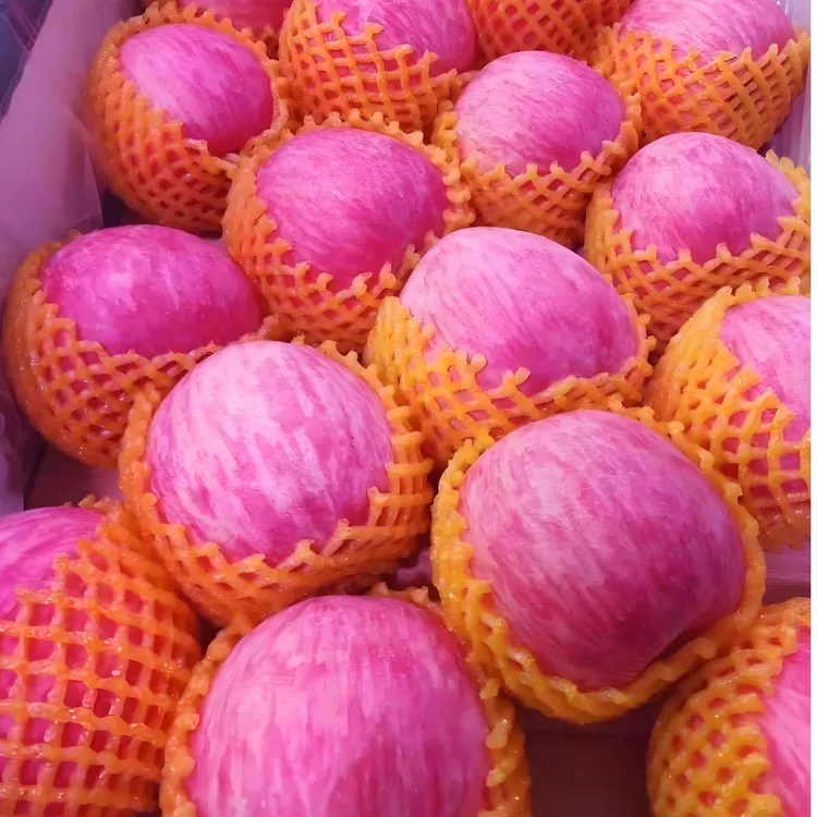 陕西白水红富士苹果当季现摘脆甜多汁果肉细腻产地健康营养水果