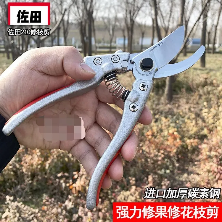 果枝剪果枝剪园林园艺工具剪子果剪修剪刀进口剪枝家用专用果树