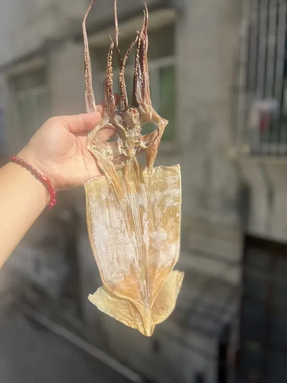 （信和臻选）舟山淡干鱿鱼干 炒菜煲汤  整只 新鲜美味