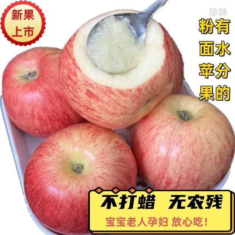 2025新果陕西粉面沙甜苹果8-12个4.5斤宝宝刮泥老人吃的苹果婴儿