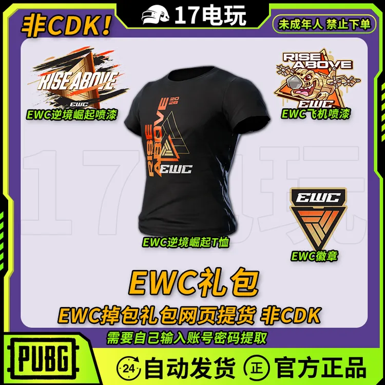 PUBG绝地求生EWC礼包吃鸡联名黑色T恤皮肤喷漆短袖代领CDK