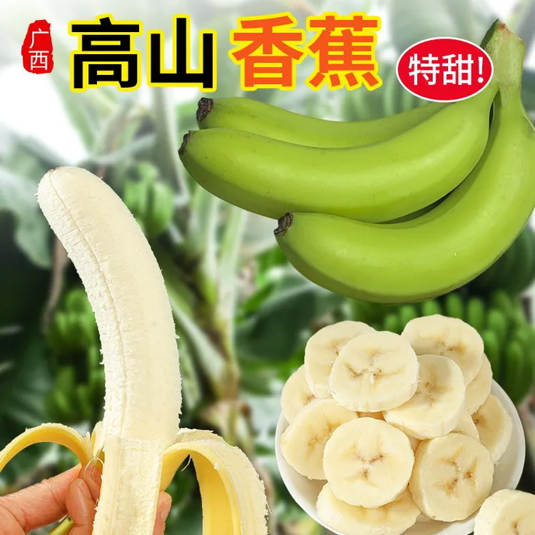 青皮香蕉广西高山种植自然成熟甜香蕉软糯香甜新鲜时令水果3/5斤