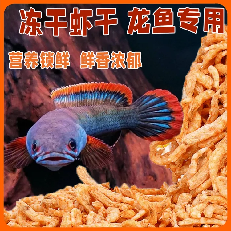 南极磷虾干雷龙鱼专用食物营养补钙色六角恐龙鱼专用鱼饲料乌龟粮