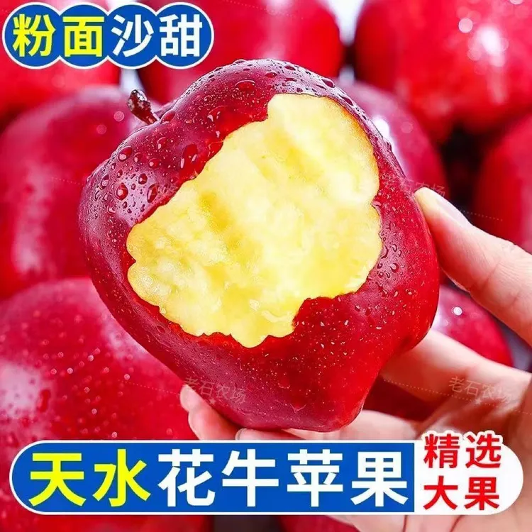 正宗甘肃天水花牛苹果高山农家当季新鲜香甜多汁特大送人苹果蛇果