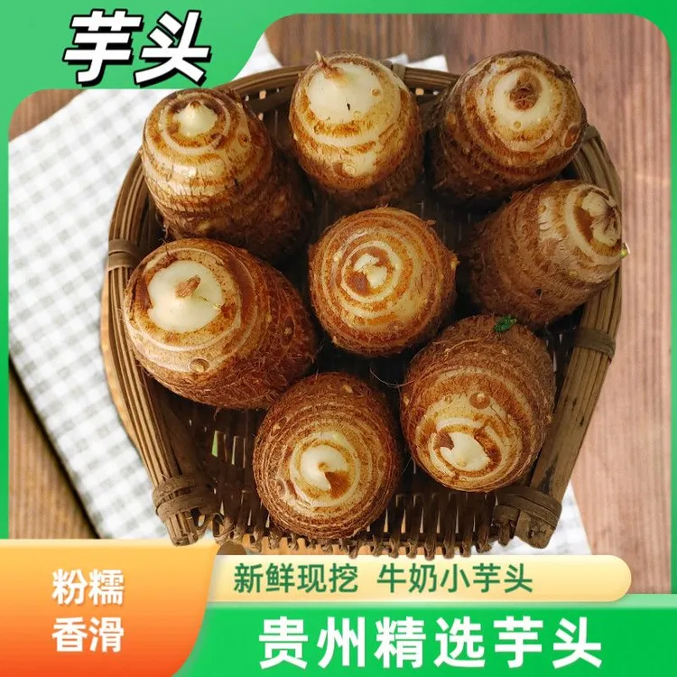 贵州现挖新鲜牛奶小芋头软糯丝滑小香芋头白芽香糯毛芋头芋头儿