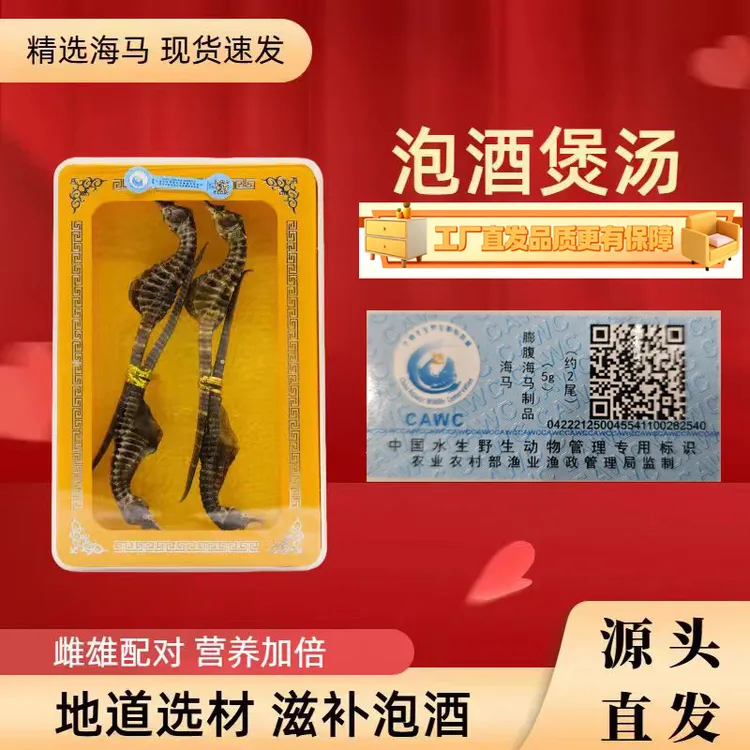 干货海马可泡酒煲汤公母搭配带溯源码