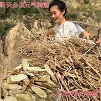 【林】陕北山地【新黄芪】高原种植现挖现切 泡水煲汤 保温杯常备