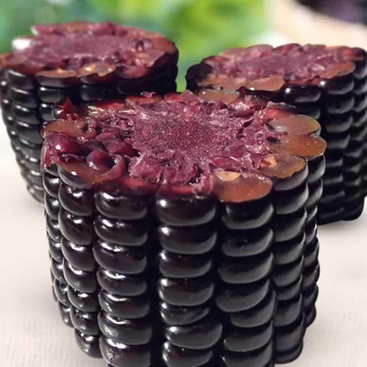 新客秒】东北黑糯玉米10根非转糯玉米棒新鲜代餐糯玉米真空包装粗