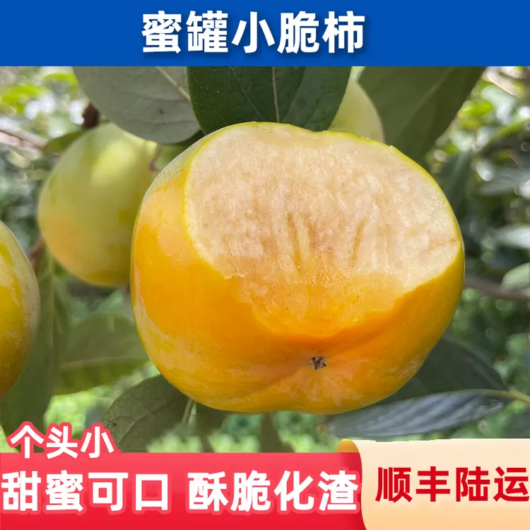 鑫选 云南蜜罐小脆柿3-5斤 新鲜水果 甜蜜可口酥脆化渣 顺丰直发