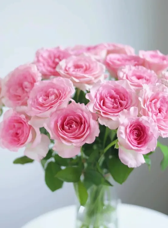 洛神玫瑰花束鲜切花基地直发包邮