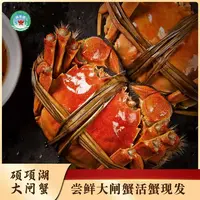 【活蟹】鲜活硕项湖大闸蟹 3.7-3.3两 8-10只 全母蟹 顺丰冷链包邮