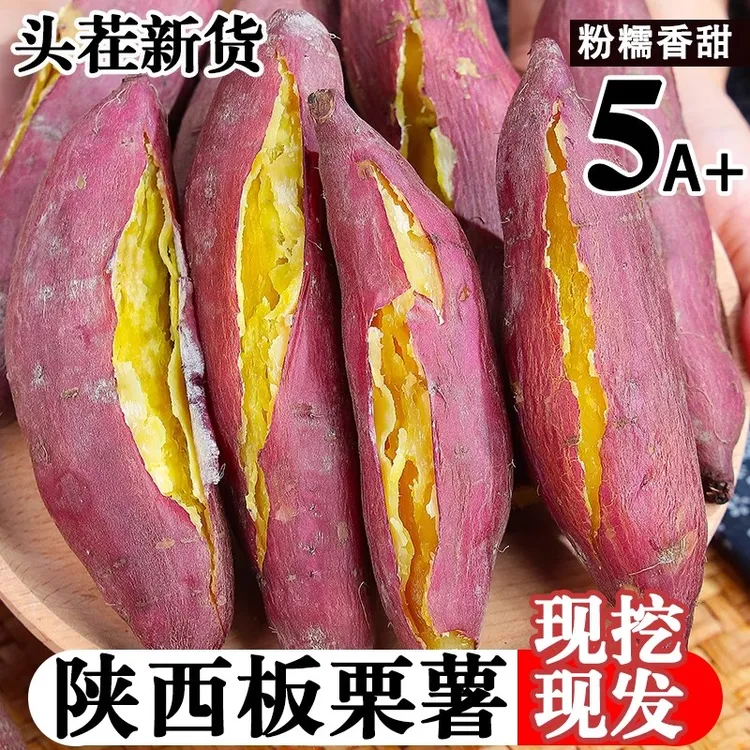 陕西临潼板栗红薯粉糯香甜地瓜干面现挖沙地番薯蜜薯白薯山芋新鲜
