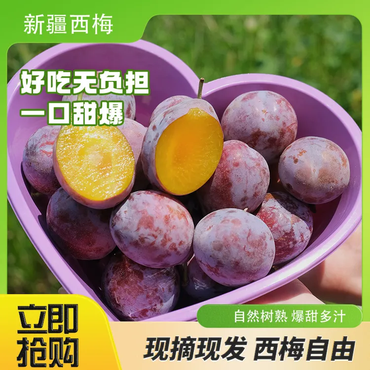 中秋送礼 新疆法兰西西梅梅礼礼盒树熟现摘爆汁甄选特级大果
