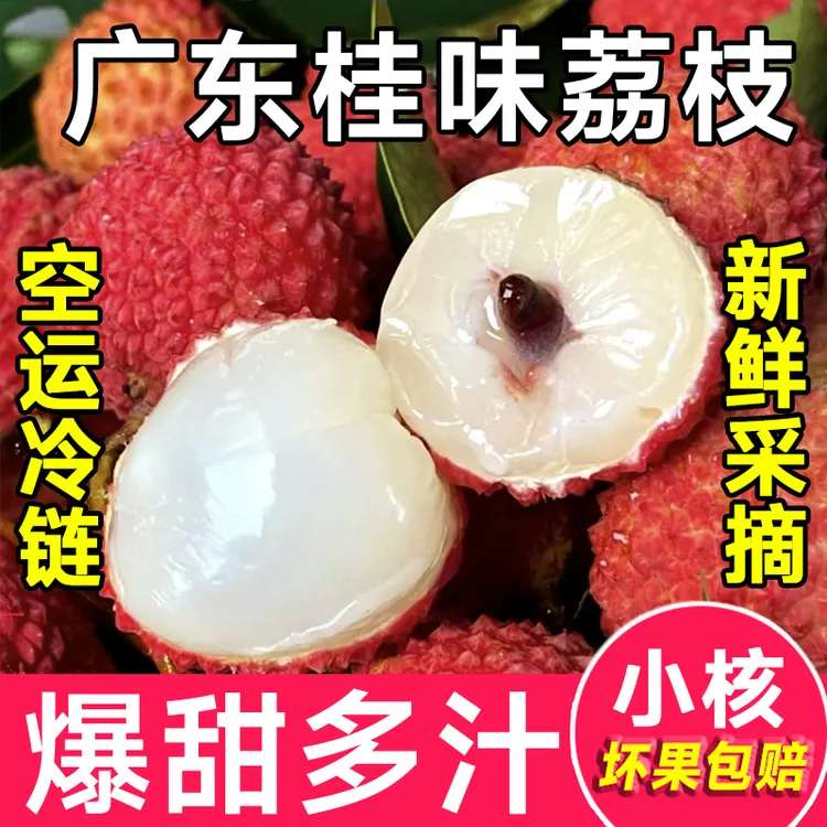 新鲜现摘当季荔枝老树乌叶黑叶桂味荔枝白糖罂整箱发货礼盒装超甜