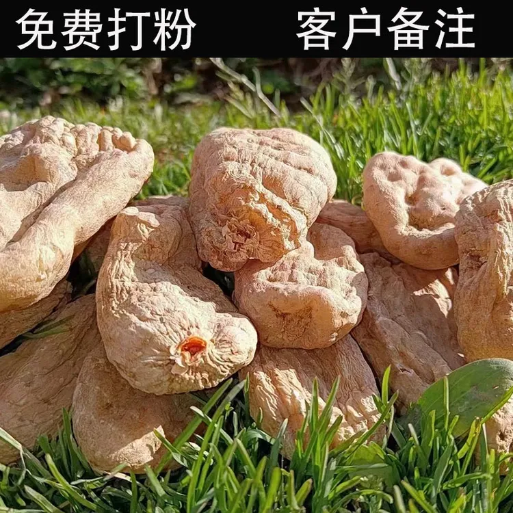 瑞益森云南昭通小草坝防野生乌天麻500g干天麻原产地发货顺丰包邮