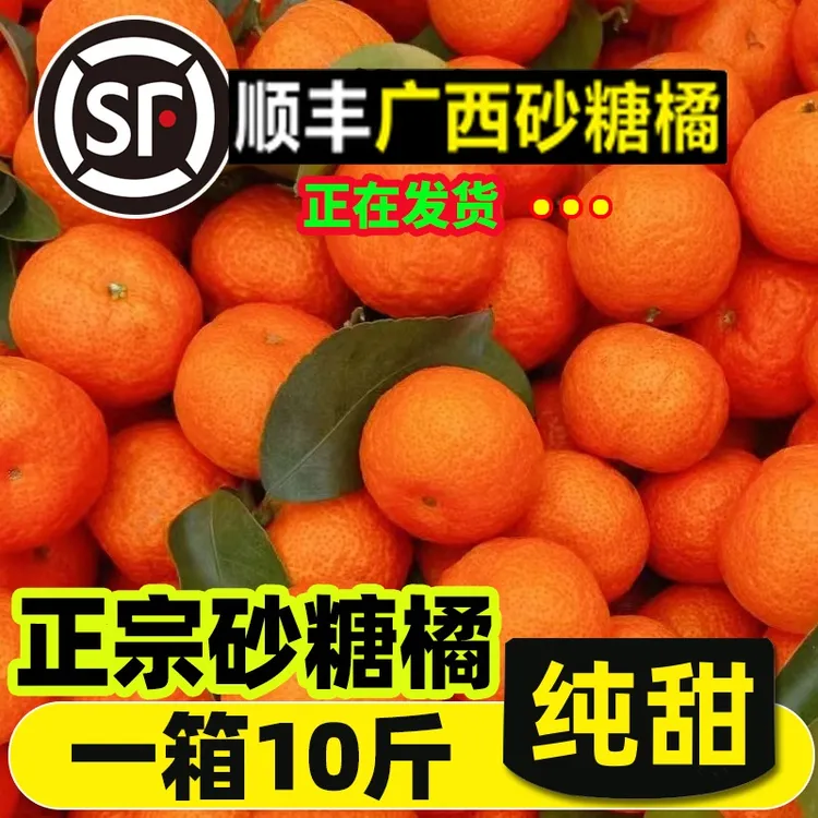 正宗桔子砂糖橘新鲜水果金秋丰无籽小沙糖广西整箱斤顺礼盒蜜桔