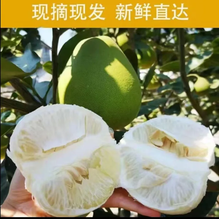 正宗湖南麻麻柚无酸爆汁新鲜应季水果