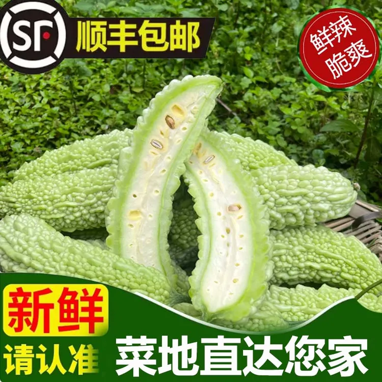现摘当季新鲜白米苦瓜蔬菜农家自种苦瓜凉瓜清苦脆嫩清凉农家菜
