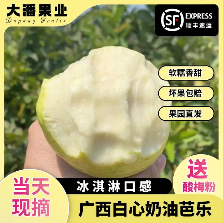 【顺丰包邮】广西软心白心软糯奶油芭乐当季低糖水果番石榴