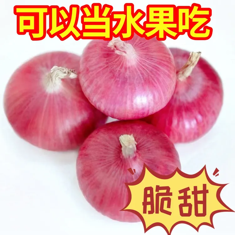 河南新鲜二红扁洋葱生吃脆甜扁洋葱新鲜蔬菜紫皮黄皮圆葱头微甜