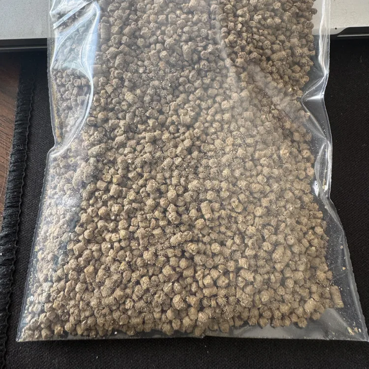 猛将王鸟食108试用装纯天然昆虫阴包谷鸟食、深头打口通用