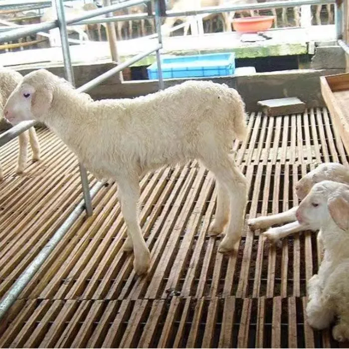 竹子羊床漏粪板鸡鸭鹅架养殖场竹架板羊圈用竹笆子养殖设备漏粪板