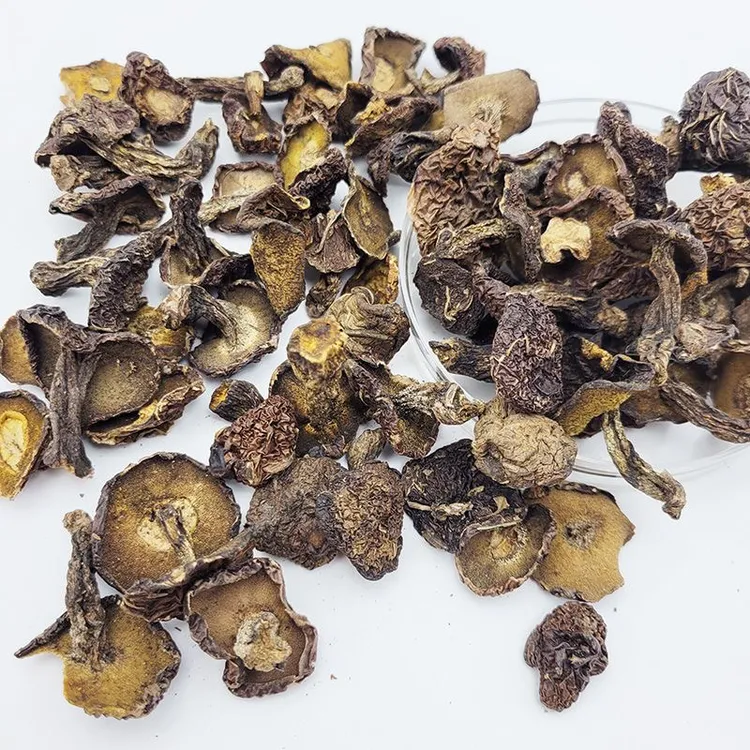 松蛾子小蘑菇松蛾子钉粘团子蘑菇小鸡炖蘑菇东北特产黑蘑菇粘窝子