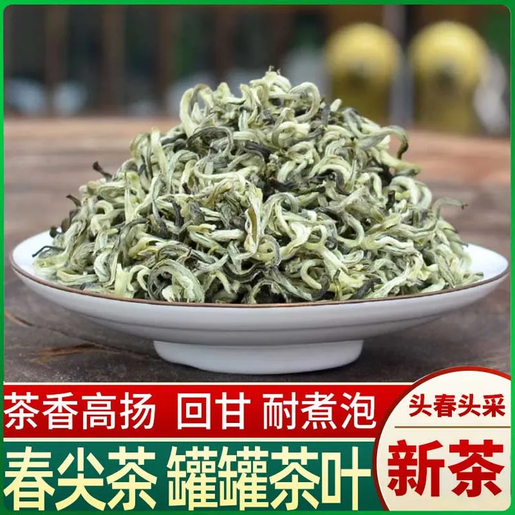 茶叶2025新茶正宗高山绿茶春尖茶叶甘肃【罐罐】茶清香型散称装茶料