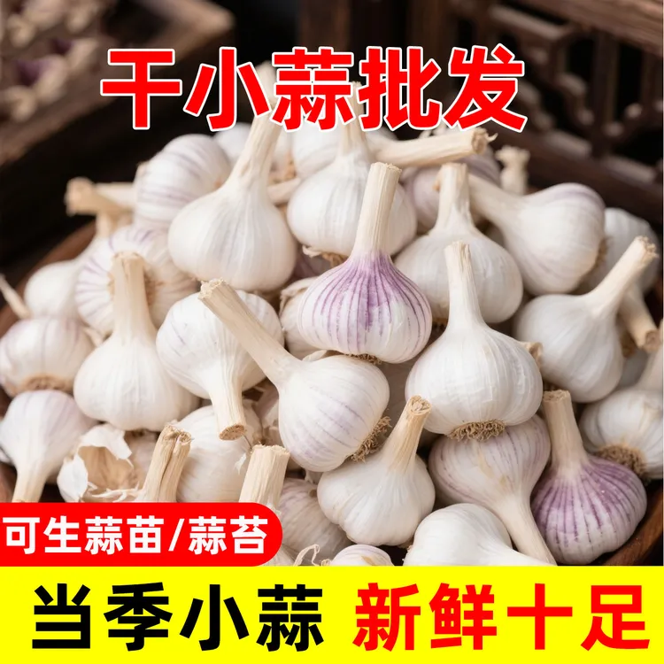【今年新蒜】​​干小蒜 25年新产 40头左右 紫皮白蒜 干货批发