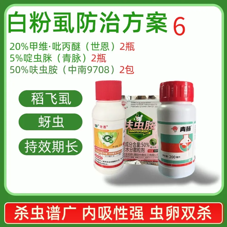 白粉虱防治方案兼治蚜虫啶虫脒呋虫胺虫卵双杀农药