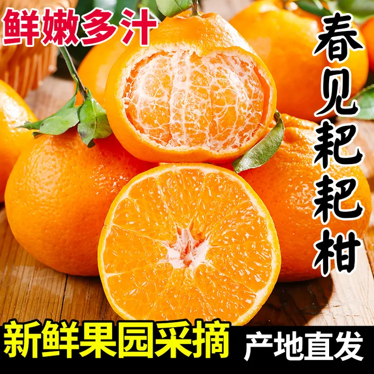 【鲜嫩多汁】正宗四川春见耙耙柑新鲜水果粑粑柑橘子当季丑橘自然熟