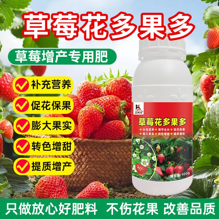 草莓花多果多补充草莓营养调节生长发芽分化促花保果膨果转色增甜