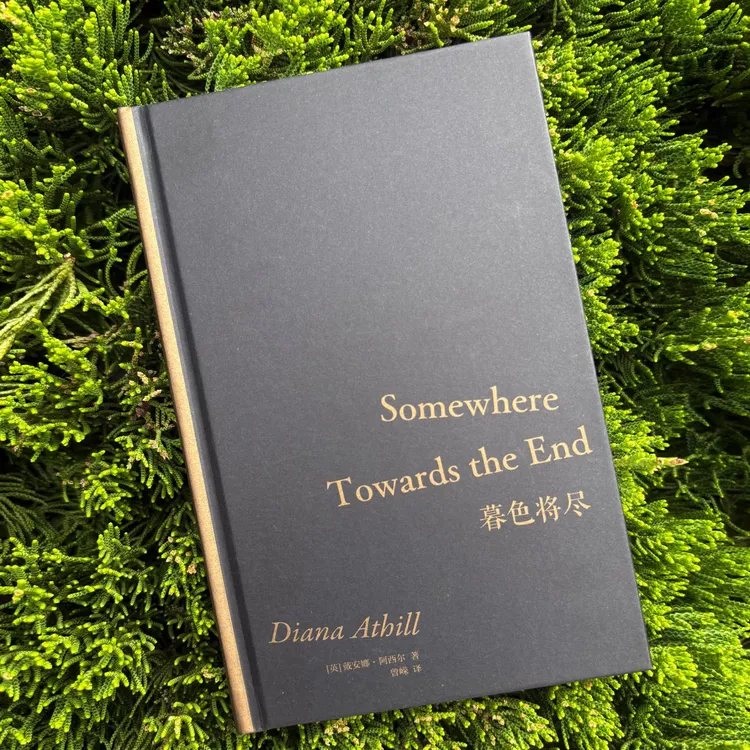 (正版现货)暮色将尽【黑色内封面】反内耗神书，生活勇敢进行下去!